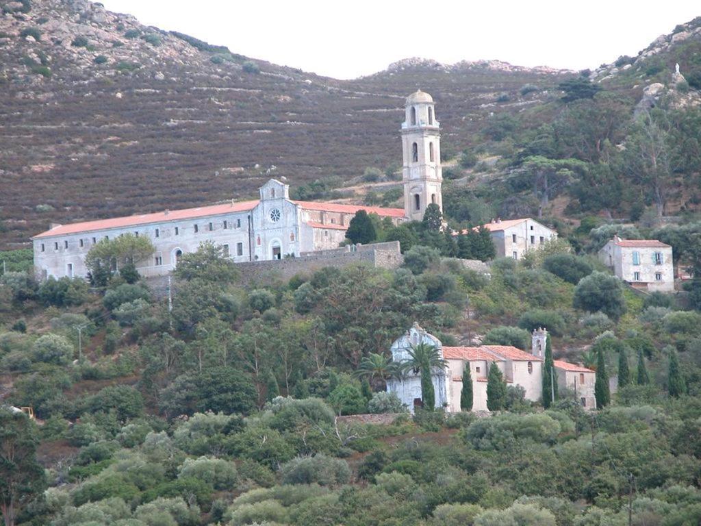 Le Bois De Capra Scorsa Villa Belgodere  Bagian luar foto