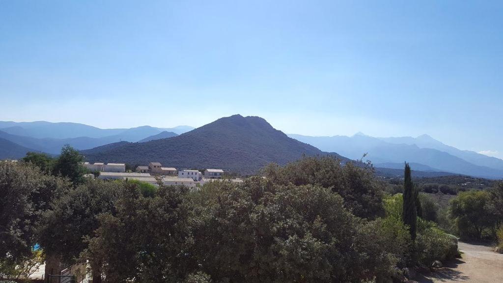Le Bois De Capra Scorsa Villa Belgodere  Bagian luar foto