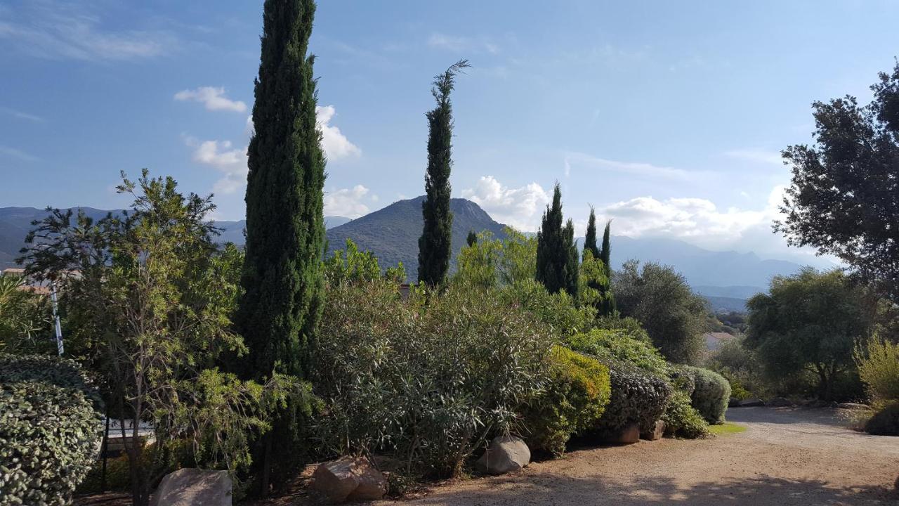 Le Bois De Capra Scorsa Villa Belgodere  Bagian luar foto